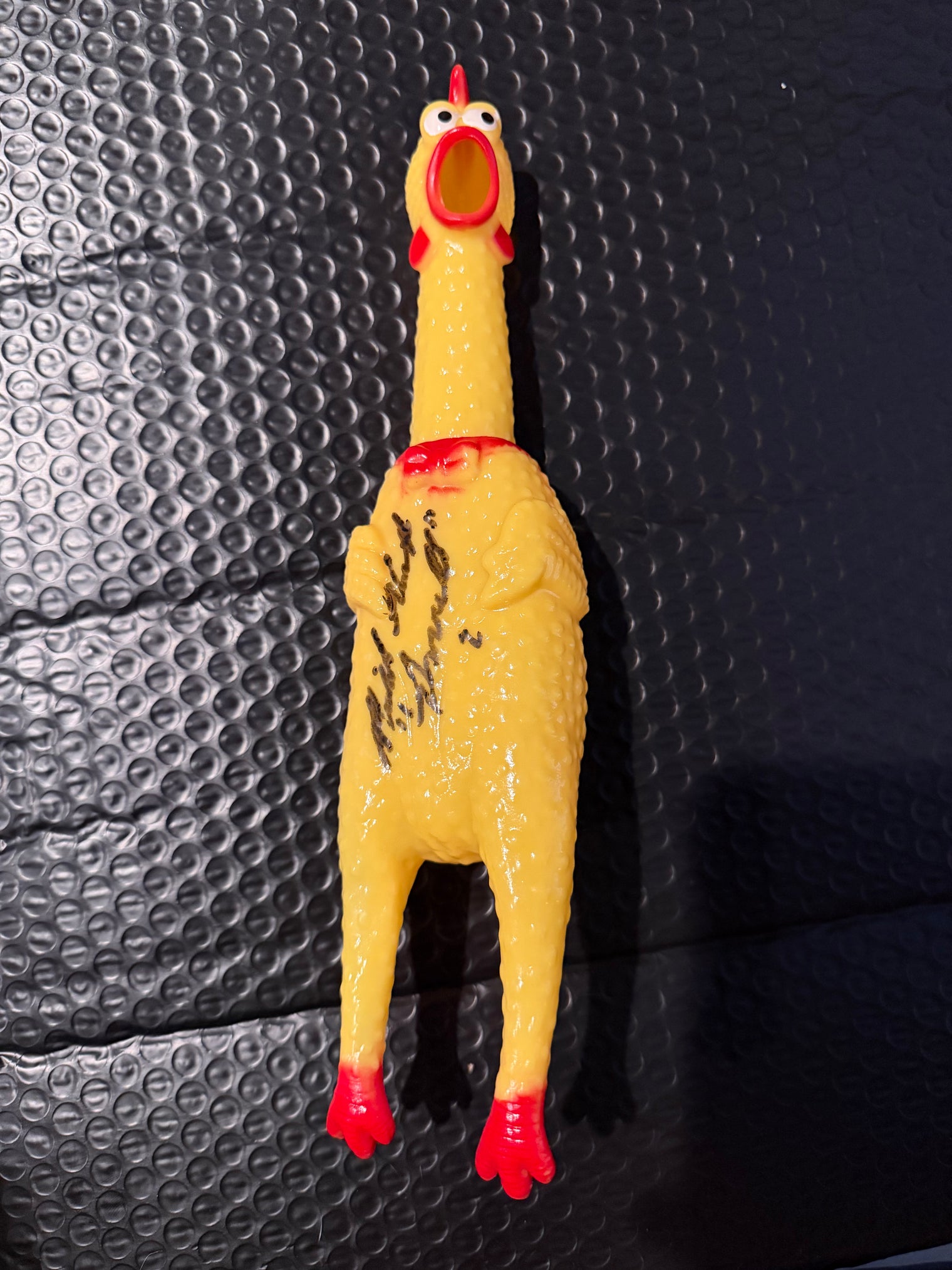MICHAEL ALCOTT SIGNED CHICKEN