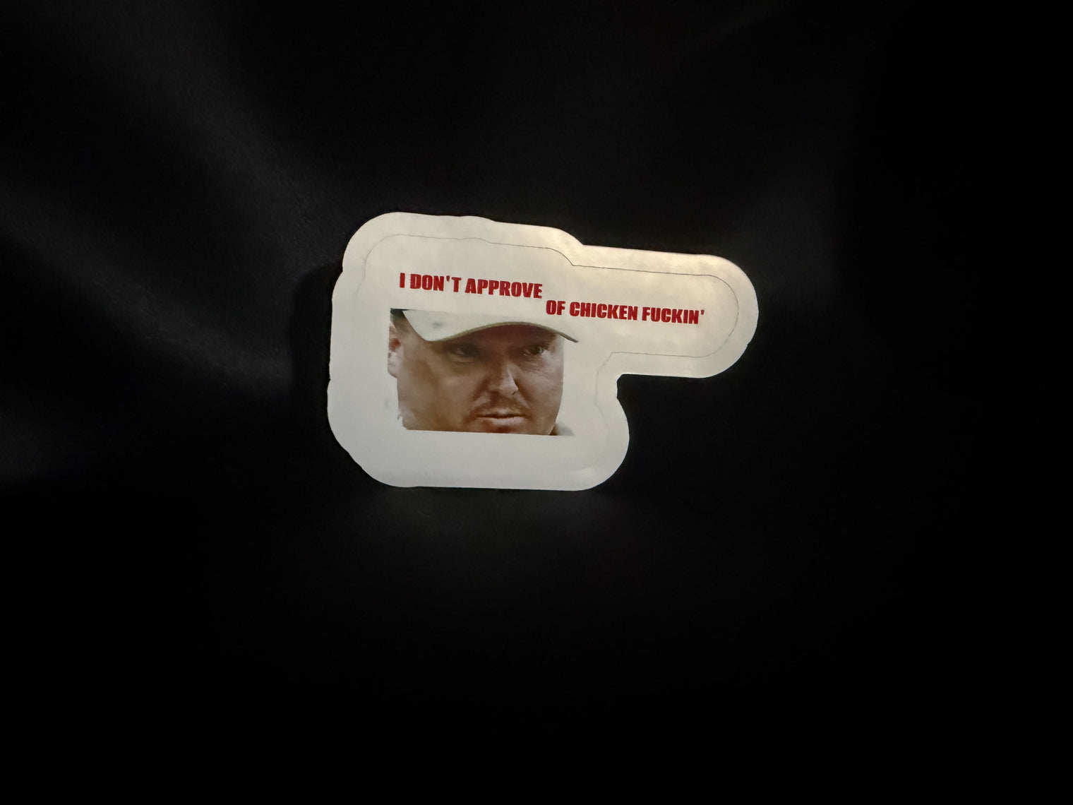 DONT APPROVE OF CHICKEN FUCKING STICKER
