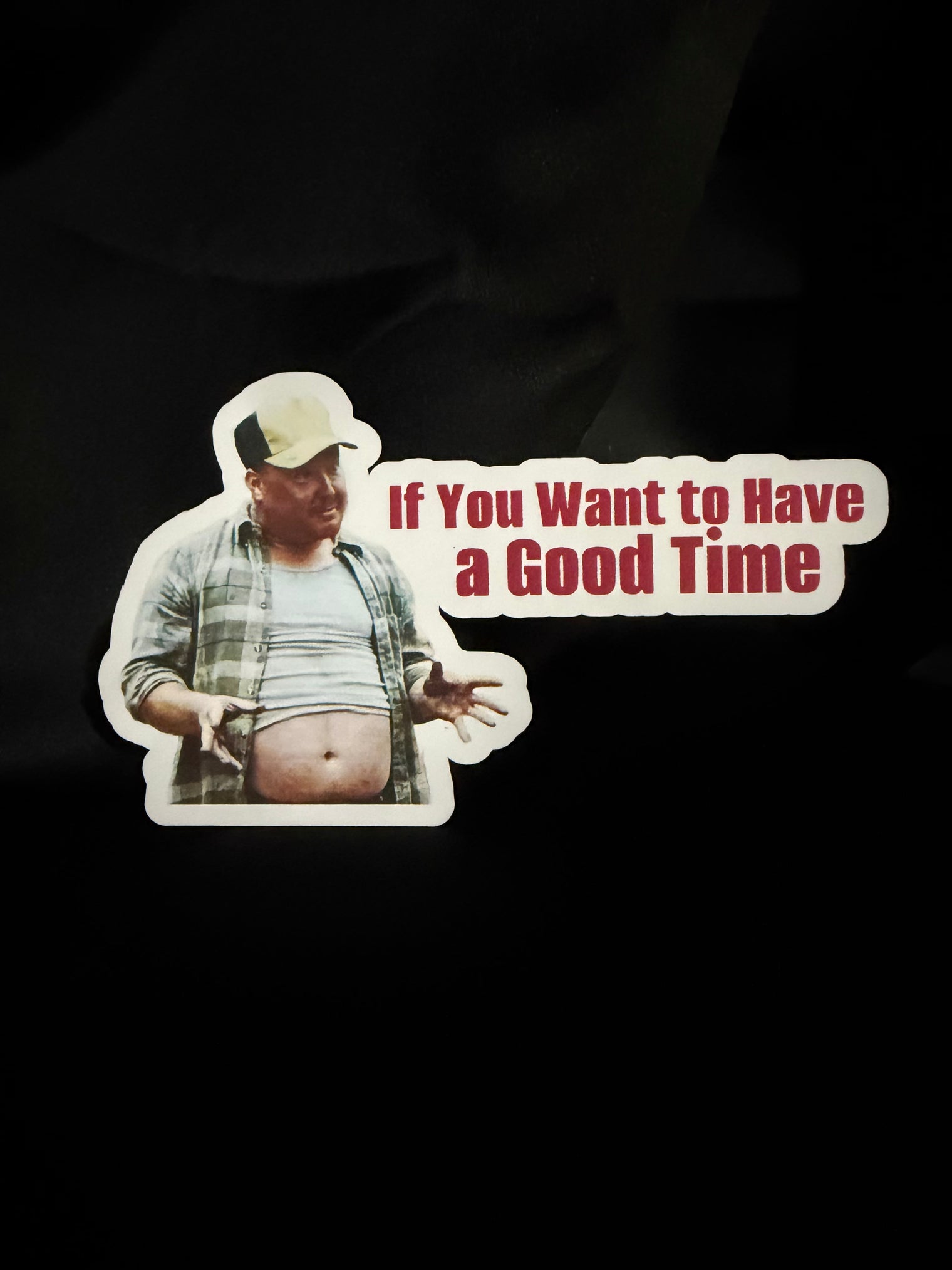 IF YOU WANT TO HAVE A GOOD TIME STICKER